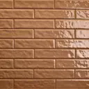 Керамогранит Motto Levels N100037 6x25см цвет терракотовый