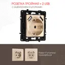 Розетка встраиваемая Arte milano 217.47-1.shampan с заземлением шторками и USB цвет шампань