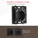Розетка встраиваемая Arte milano 217.47-1.black с заземлением шторками и USB цвет черный