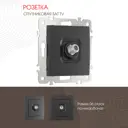 Розетка ТВ/спутник встраиваемая Arte milano 206.42-1.black цвет черный