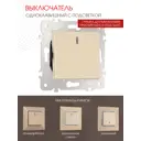 Выключатель встраиваемый Arte milano 203.31-1.shampan 1 клавиша цвет шампань