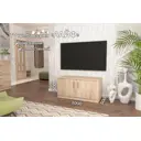 Тумба под телевизор Furnistyle 7944 100x50x50 см ЛДСП цвет дуб сонома