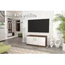 Тумба под телевизор Furnistyle 7951 100x50x50 см ЛДСП цвет разноцветный
