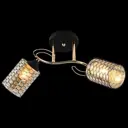 Люстра на штанге ReLuce 01309-0.3-02 bk+fgd 2 лампы 6 м² цвет черный