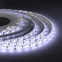 Светодиодная лента для контурной подсветки Apeyron SMD5050 12В 10 мм 3м 10 Вт/м 60диод/м 700 лм/м IP65 6400 К холодный свет