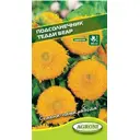 Семена цветов Подсолнечник Тедди беар желтый Agroni