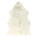 Шкура овечья одинарная 45x65 см цвет белый