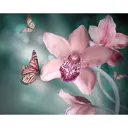 Фотообои флизелиновые «Бабочки» 300х238 см