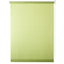 Штора рулонная Inspire 70х160 см цвет салатовый