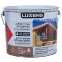 Антисептик Luxens цвет венге 10 л