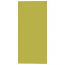 Дверь для шкафа Delinia «Васаби» 33x70 см, пластик, цвет зелёный