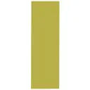 Дверь для шкафа Delinia «Васаби» 30x92 см, пластик, цвет зелёный
