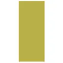 Дверь для шкафа Delinia «Васаби» 40x92 см, пластик, цвет зелёный