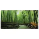 Постер на стекле D-ART 48x98 см «Бамбуковая роща»