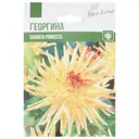 Георгина Кактусовая Гарден Принцесс I