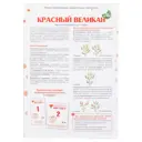 Удобрение «Красный великан» 1 кг