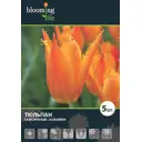 Тюльпан Александра 12/+, 5 шт