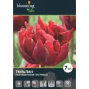 Тюльпан Ред Принцесс 12/+, 7 шт