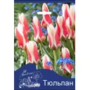 Тюльпан Зомби 11/12, 3 шт.
