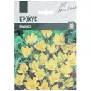 Крокус ботанический «Романс» 10 шт.