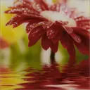 Картина на стекле 30x30 см Red flower 27737524