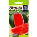 Семена Арбуз Огонёк Семена Алтая