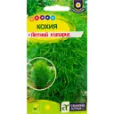 Семена цветов Кохия Летний кипарис зеленая Семена Алтая