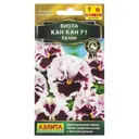 Виола белая «Кан Кан» F1