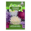 Астра коготковая «Русская краса»