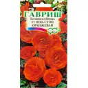 Бегония гранулированная «Нон-стоп» оранжевая, 4 шт.