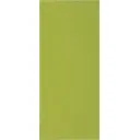 Дверь для шкафа Delinia «Васаби» 30x70 см, пластик, цвет зелёный