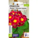 Примула Данова Вишневое кружево 5 шт.