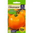 Семена Томат Наша селекция «Самородок», 0.05 г