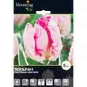 Тюльпан Пинк Вижн 12/+, 5 шт
