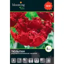 Тюльпан «Мейвуд» 12, 5 шт.