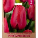 Тюльпан «Pink Impression» размер луковицы 10/11, 3 шт.