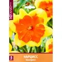 Нарцисс орхидный «Конгресс»
