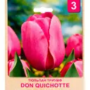 Тюльпан «Don Quichotte» размер луковицы 10/11, 3 шт.