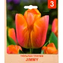 Тюльпан Триумф «Jimmy» размер луковицы 10/11, 3 шт.