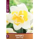 Нарцисс махровый «Дабл Стар»