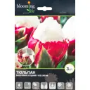 Тюльпан Айс Крим 11/plus, 3 шт.