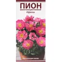 Пион молочноцветковый «Афины», размер луковицы I