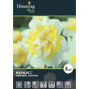 Нарцисс «Вествард 14/16, 3 шт.