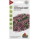 Семена Тимьян «Пурпурный ковёр» 0.05 г