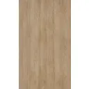 Дверь для шкафа Delinia ID «Сантьяго» 60x103 см, ЛДСП, цвет коричневый