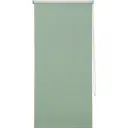 Штора рулонная Inspire блэкаут 60x160 см, цвет зелёный