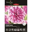 Георгина «Прайслесс Пинк»