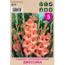 Гладиолус крупноцветковый Джессика 10/12 5 шт