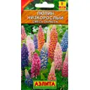 Люпин низкорослый смесь окрасок