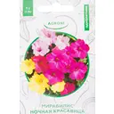 Мирабилис «Ночная красавица» XS